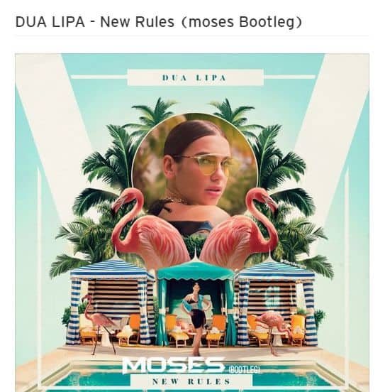 DUA LIPA - New Rules (moses Bootleg)